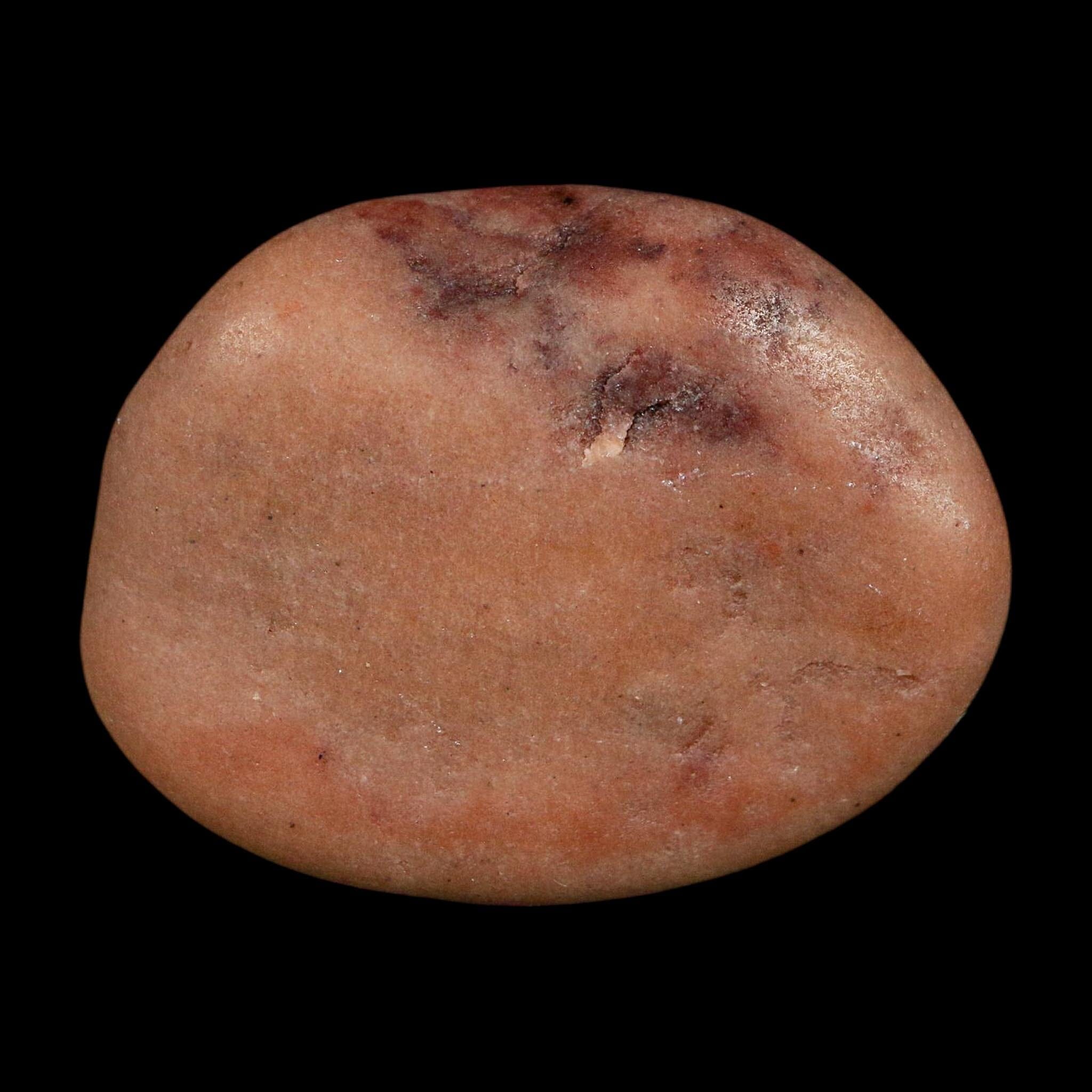 1.7" Sauropod Dinosaur Stomach Stone Gastrolith Rock Gizzard Stone COA - Fossil Age Minerals