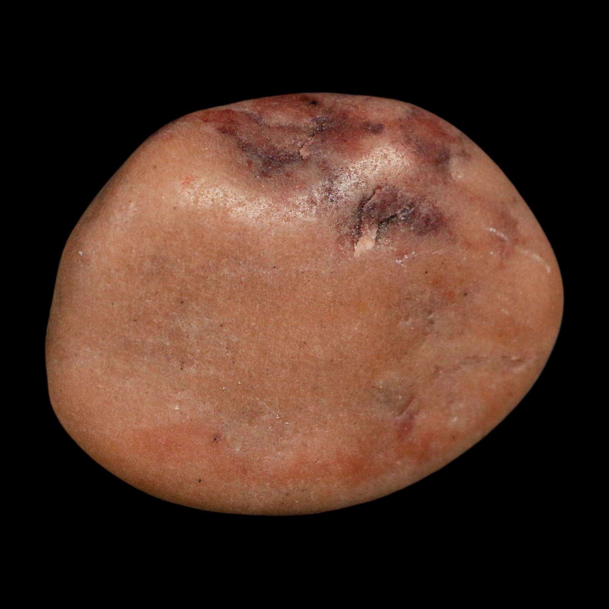 1.7" Sauropod Dinosaur Stomach Stone Gastrolith Rock Gizzard Stone COA - Fossil Age Minerals