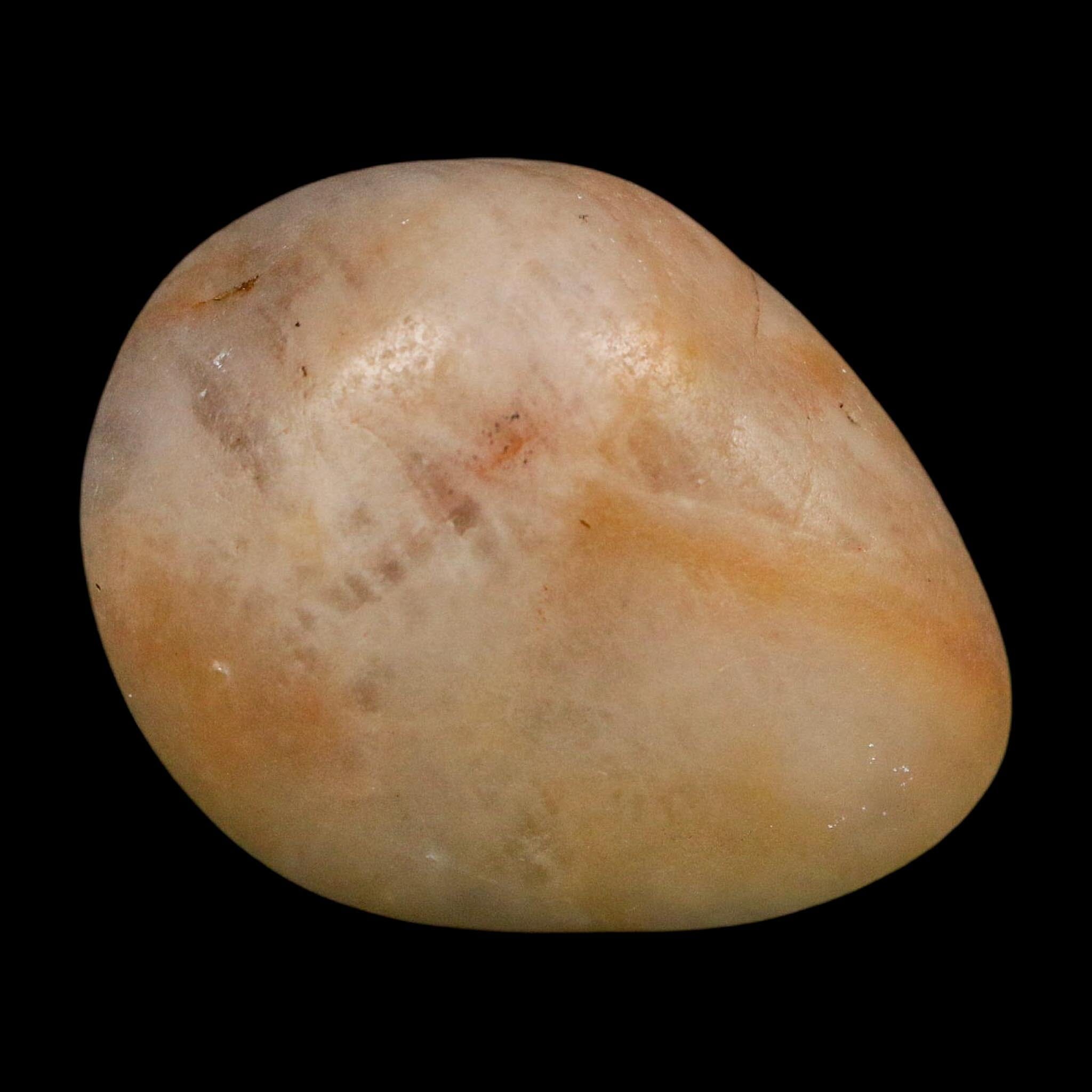 1.7" Sauropod Dinosaur Stomach Stone Gastrolith Rock Gizzard Stone COA - Fossil Age Minerals