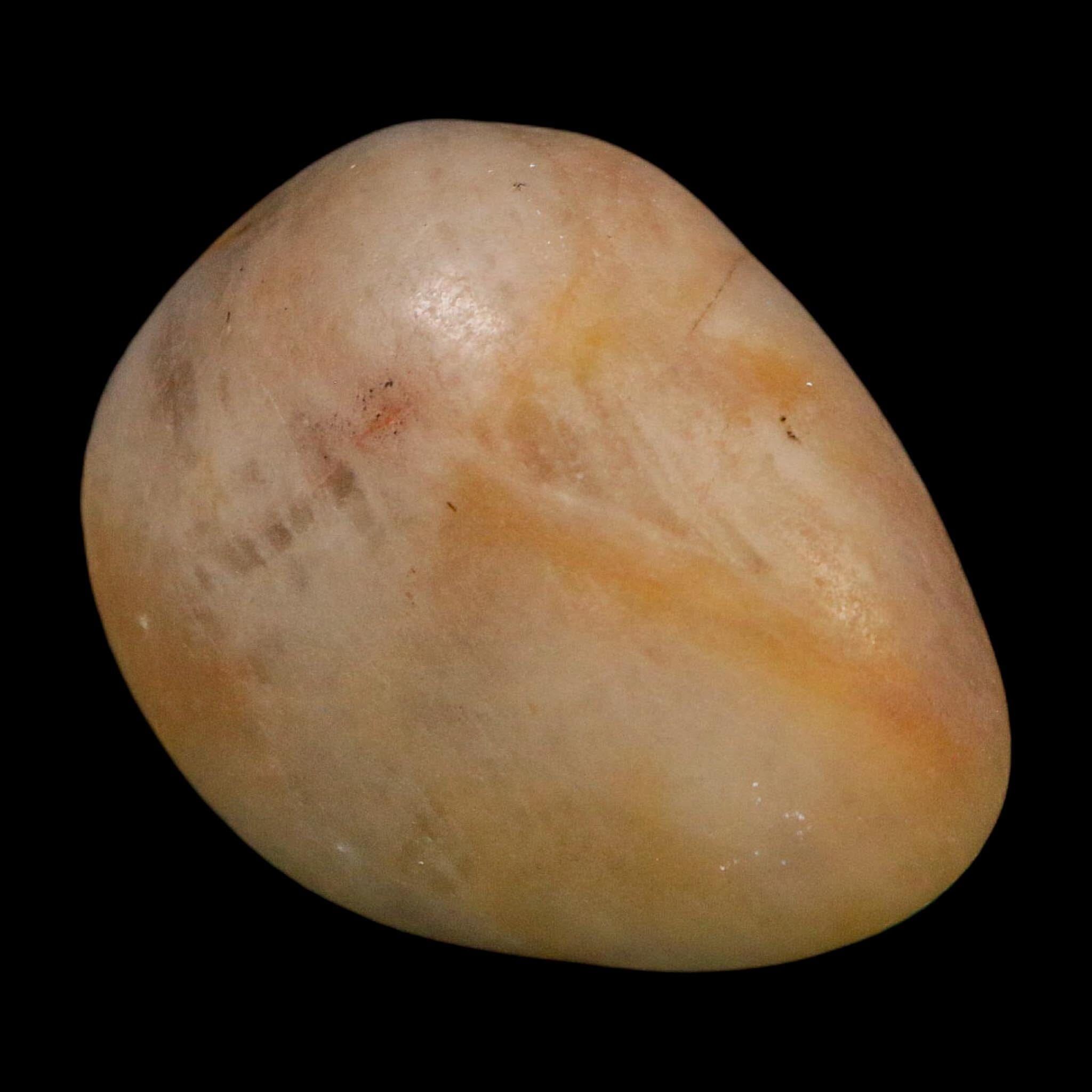 1.7" Sauropod Dinosaur Stomach Stone Gastrolith Rock Gizzard Stone COA - Fossil Age Minerals