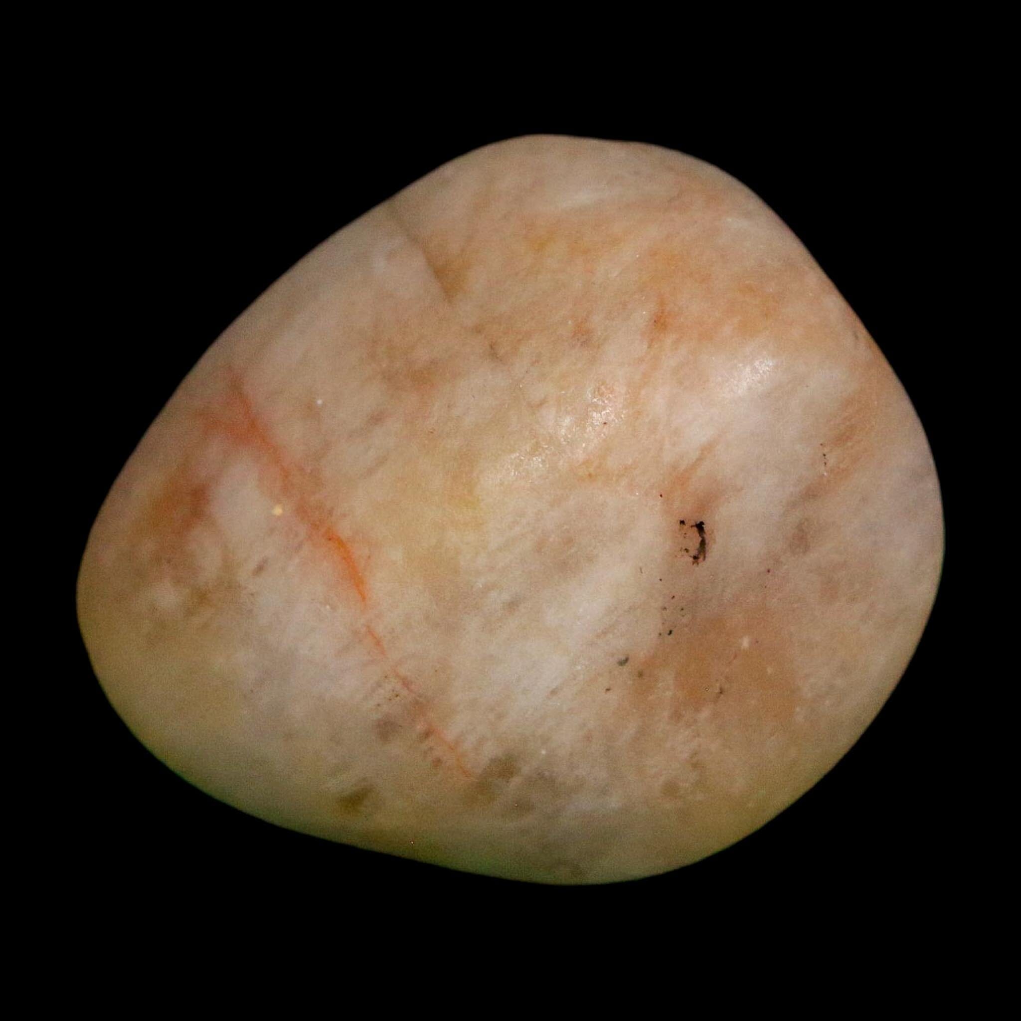1.7" Sauropod Dinosaur Stomach Stone Gastrolith Rock Gizzard Stone COA - Fossil Age Minerals