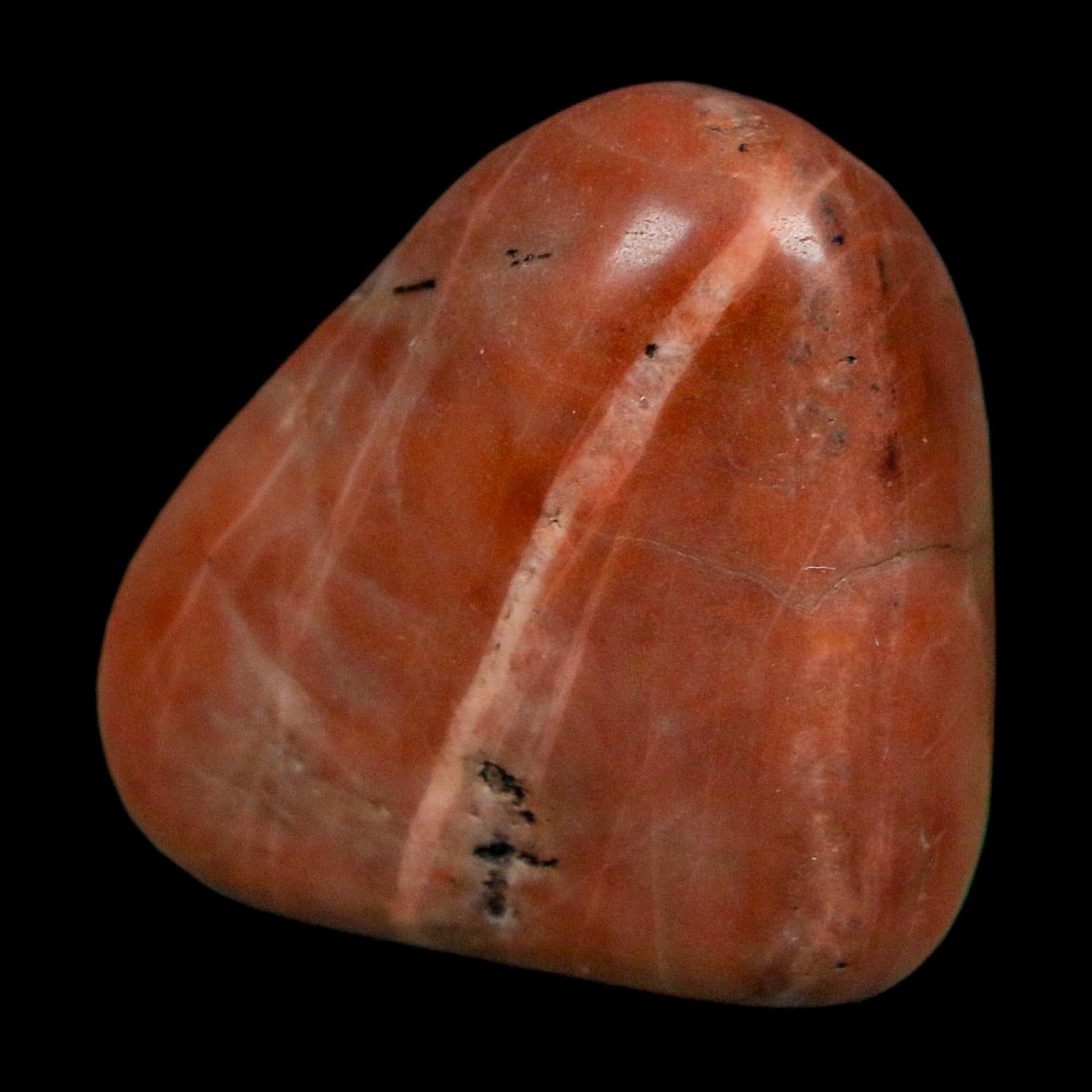 1.4" Sauropod Dinosaur Stomach Stone Gastrolith Rock Gizzard Stone COA - Fossil Age Minerals