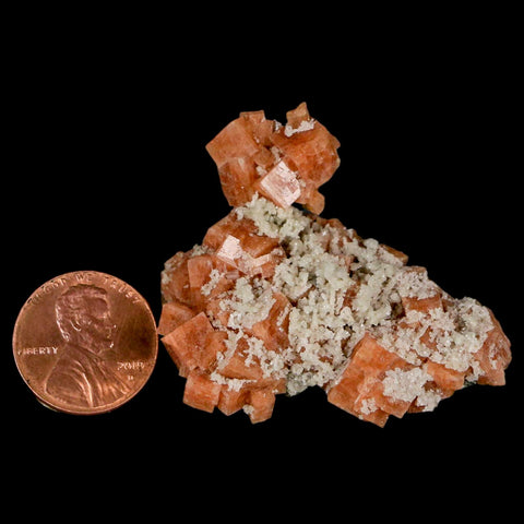 1.8" Orange Chabazite Zeolite Mineral Specimen Er Rachidia Province, Morocco - Fossil Age Minerals