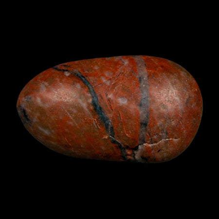 2.1" Sauropod Dinosaur Stomach Stone Gastrolith Rock Gizzard Stone COA