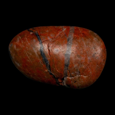 2.1" Sauropod Dinosaur Stomach Stone Gastrolith Rock Gizzard Stone COA
