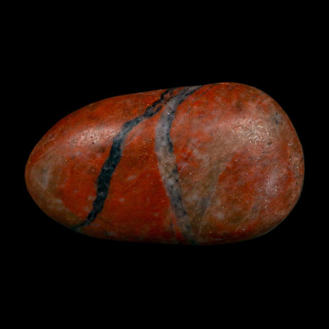 2.1" Sauropod Dinosaur Stomach Stone Gastrolith Rock Gizzard Stone COA