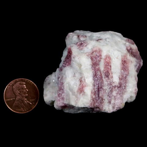 2.1" Natural Rough Pink Tourmaline on Crystal Quartz Mineral Specimen Brazil - Fossil Age Minerals