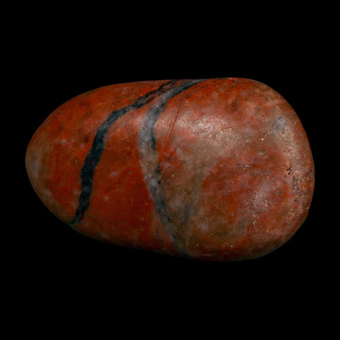 2.1" Sauropod Dinosaur Stomach Stone Gastrolith Rock Gizzard Stone COA