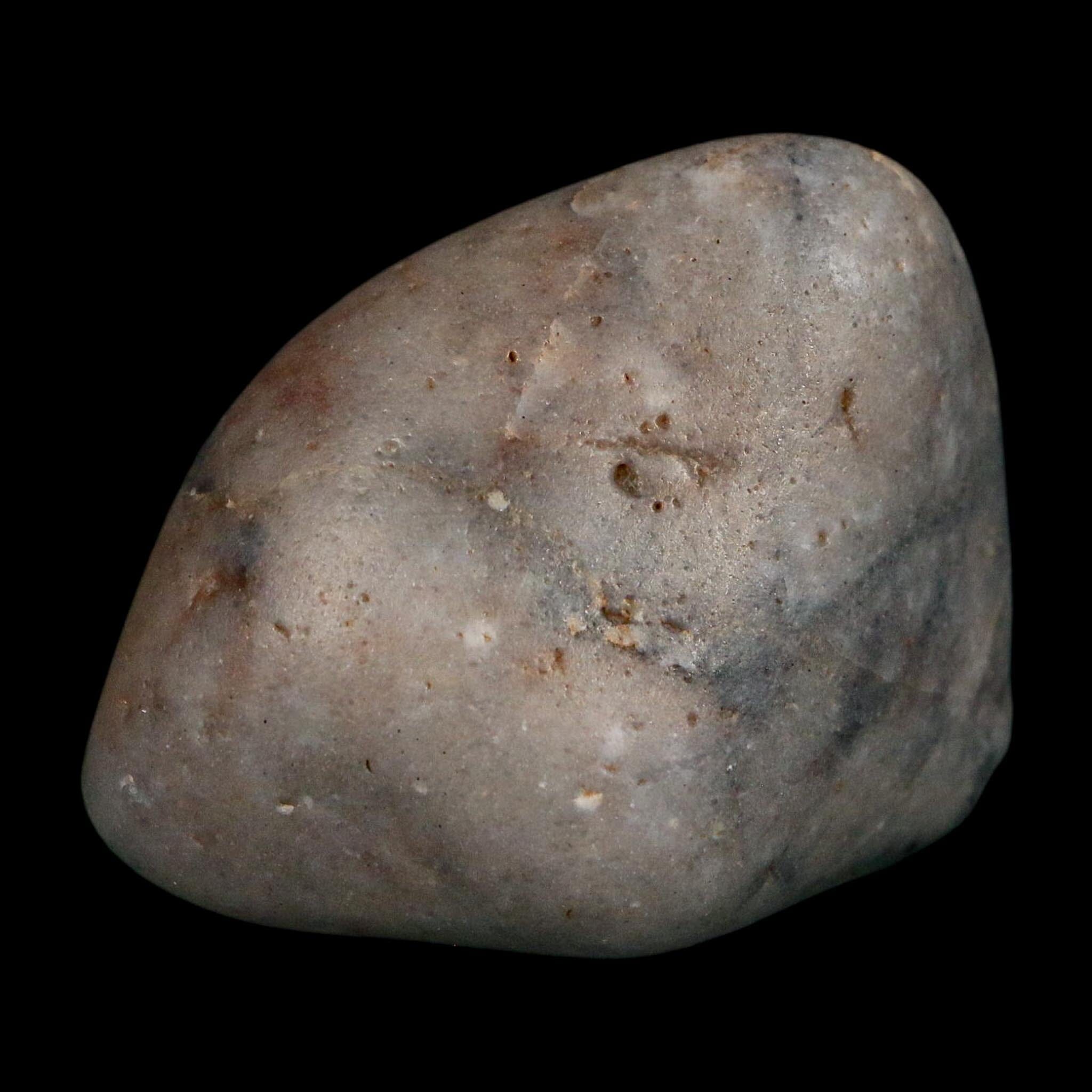 2.1" Sauropod Dinosaur Stomach Stone Gastrolith Rock Gizzard Stone COA - Fossil Age Minerals