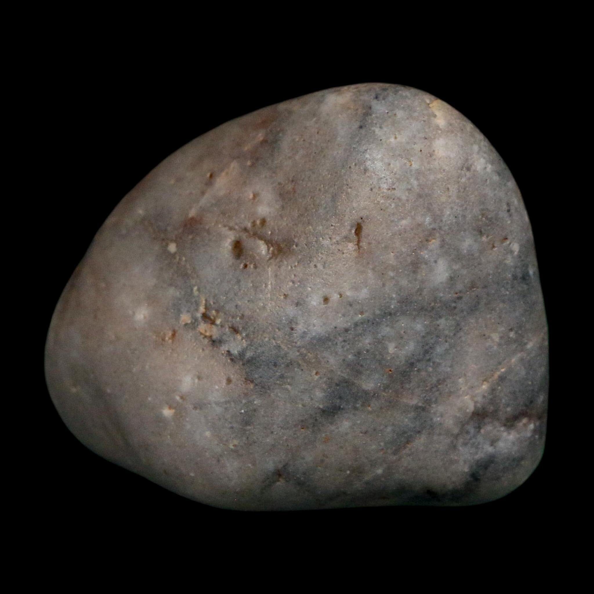 2.1" Sauropod Dinosaur Stomach Stone Gastrolith Rock Gizzard Stone COA - Fossil Age Minerals