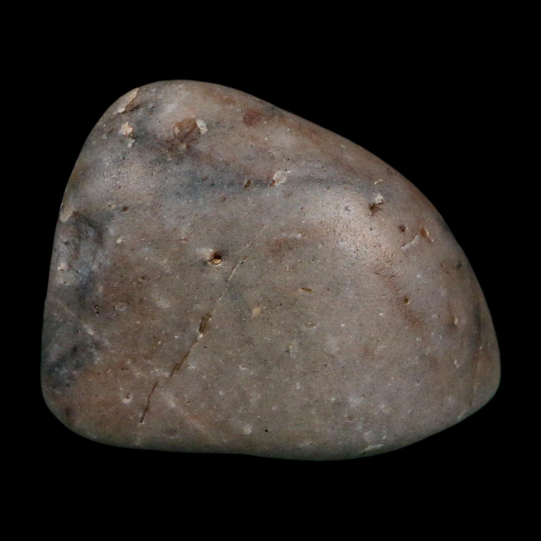 2.1" Sauropod Dinosaur Stomach Stone Gastrolith Rock Gizzard Stone COA - Fossil Age Minerals