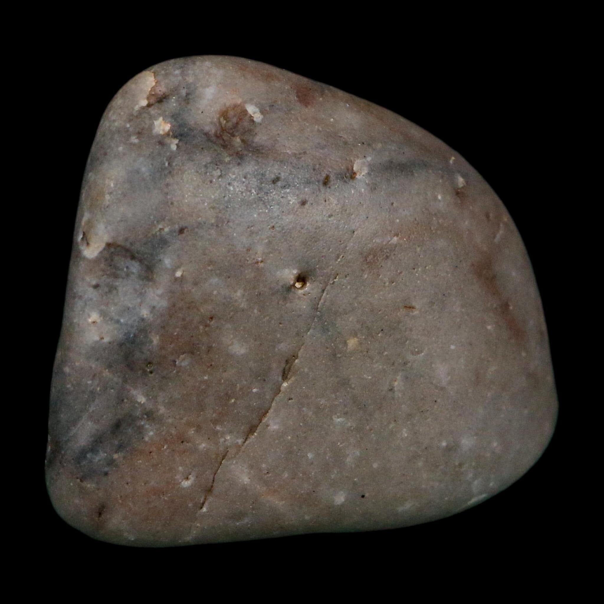 2.1" Sauropod Dinosaur Stomach Stone Gastrolith Rock Gizzard Stone COA - Fossil Age Minerals