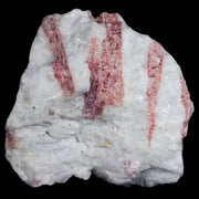 2.7" Natural Rough Pink Tourmaline on Crystal Quartz Mineral Specimen Brazil