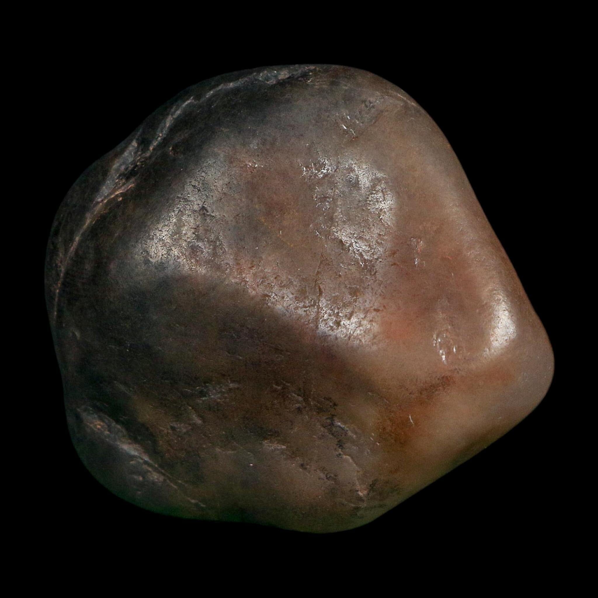 2.1" Sauropod Dinosaur Stomach Stone Gastrolith Rock Gizzard Stone COA - Fossil Age Minerals