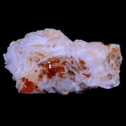 2.5" Sparkly Red Vanadinite Crystals White Barite Blades Mineral Mabladen Morocco