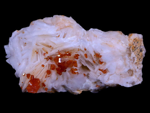 2.5" Sparkly Red Vanadinite Crystals White Barite Blades Mineral Mabladen Morocco - Fossil Age Minerals