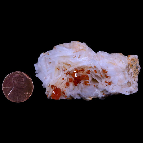 2.5" Sparkly Red Vanadinite Crystals White Barite Blades Mineral Mabladen Morocco - Fossil Age Minerals