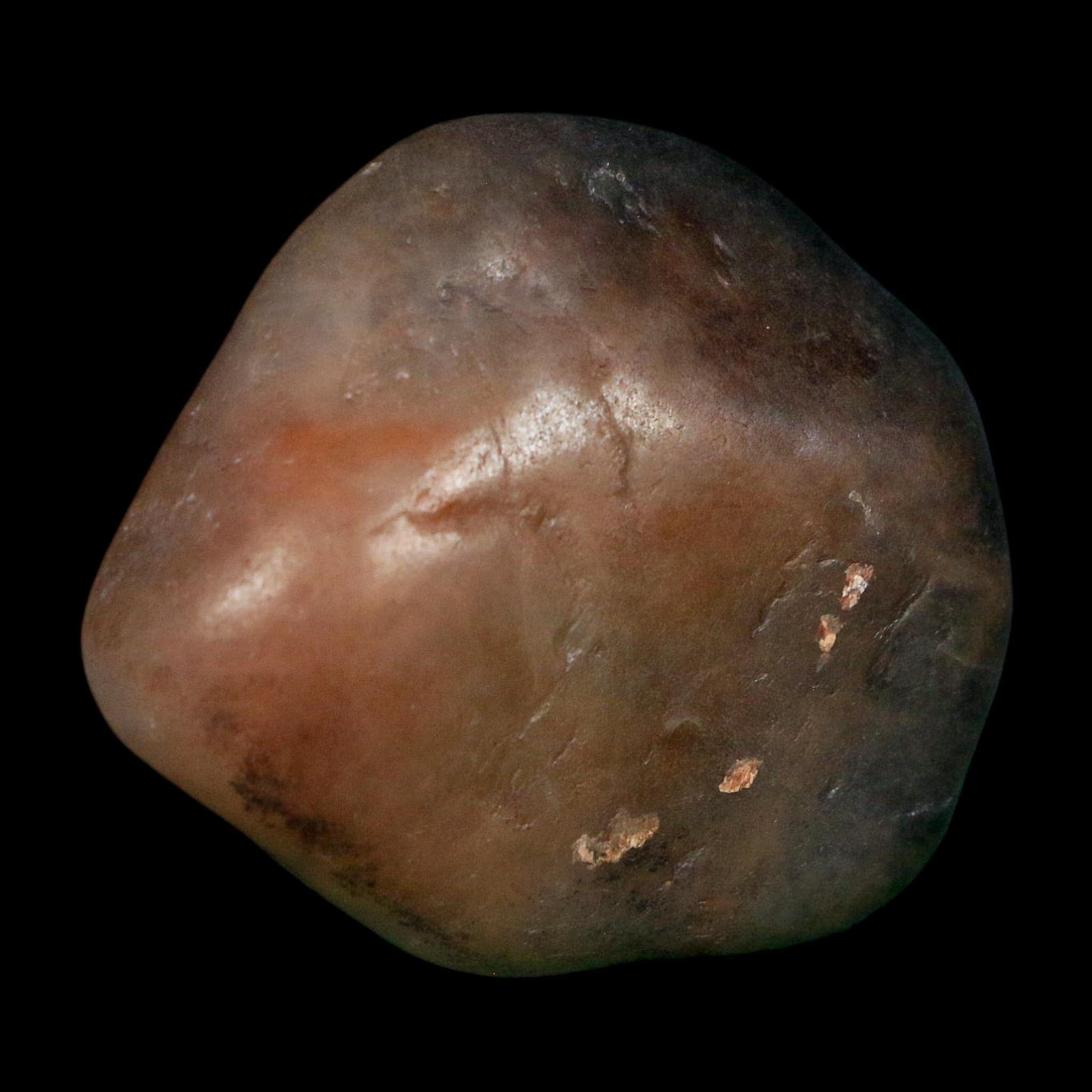 2.1" Sauropod Dinosaur Stomach Stone Gastrolith Rock Gizzard Stone COA - Fossil Age Minerals
