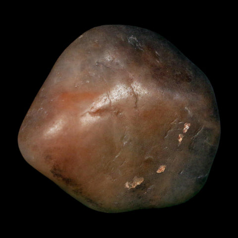 2.1" Sauropod Dinosaur Stomach Stone Gastrolith Rock Gizzard Stone COA