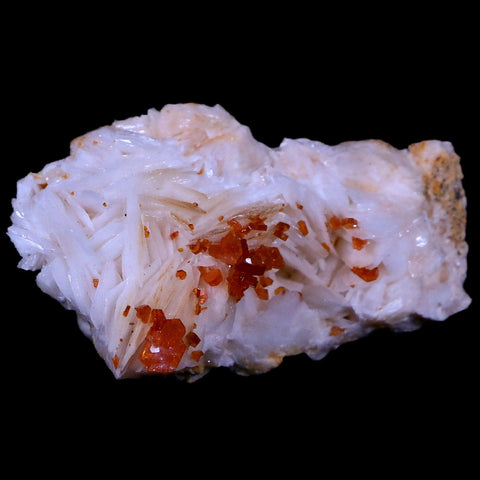 2.5" Sparkly Red Vanadinite Crystals White Barite Blades Mineral Mabladen Morocco - Fossil Age Minerals