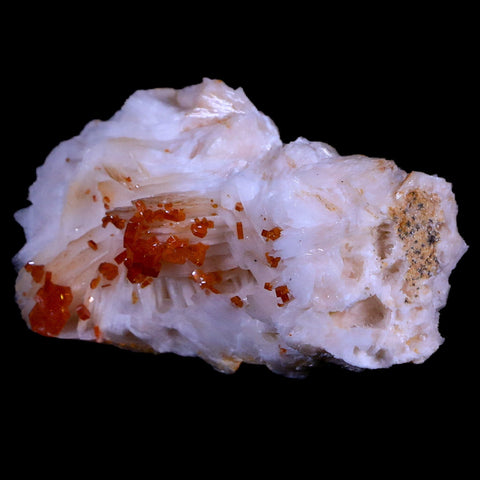 2.5" Sparkly Red Vanadinite Crystals White Barite Blades Mineral Mabladen Morocco - Fossil Age Minerals