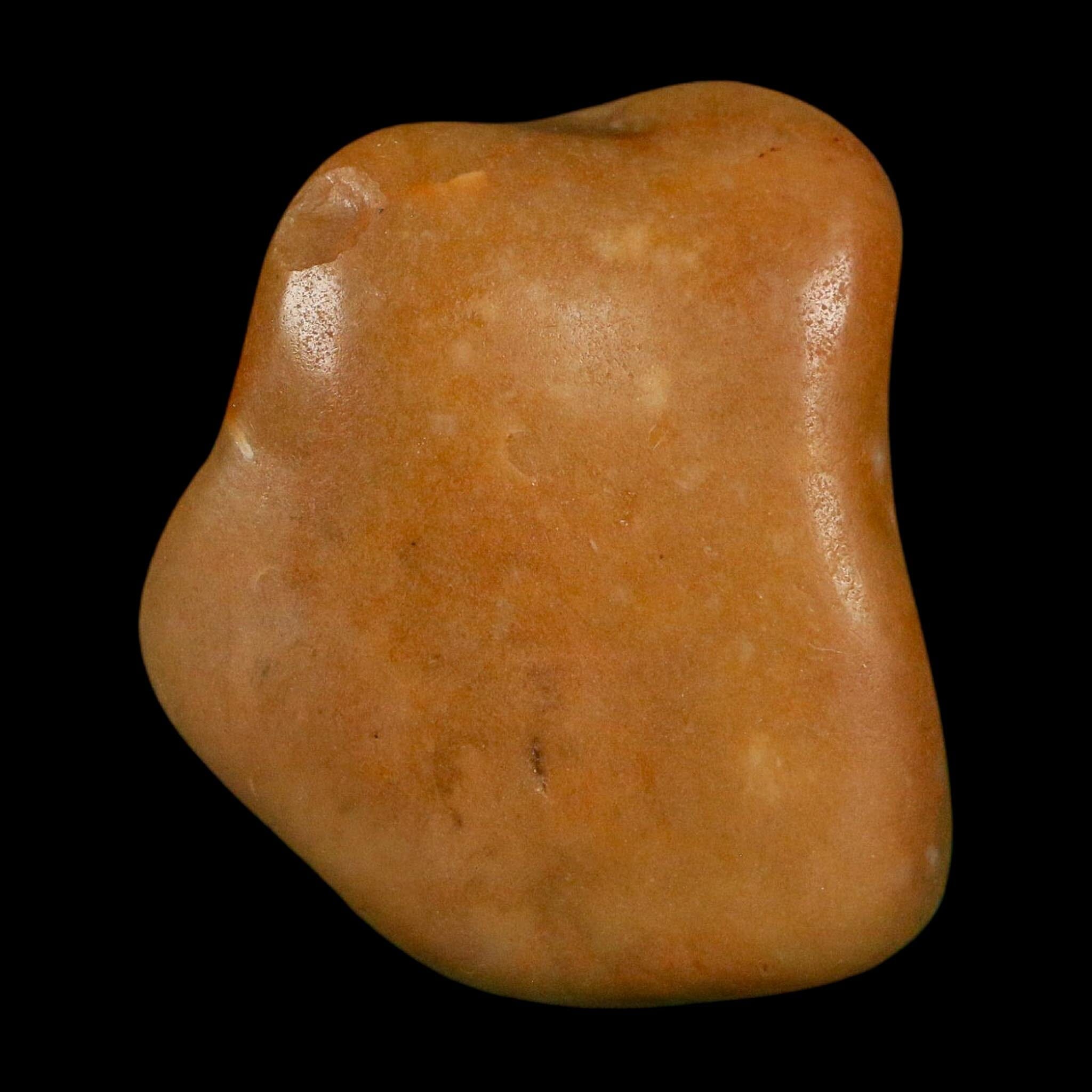 1.3" Sauropod Dinosaur Stomach Stone Gastrolith Rock Gizzard Stone COA - Fossil Age Minerals