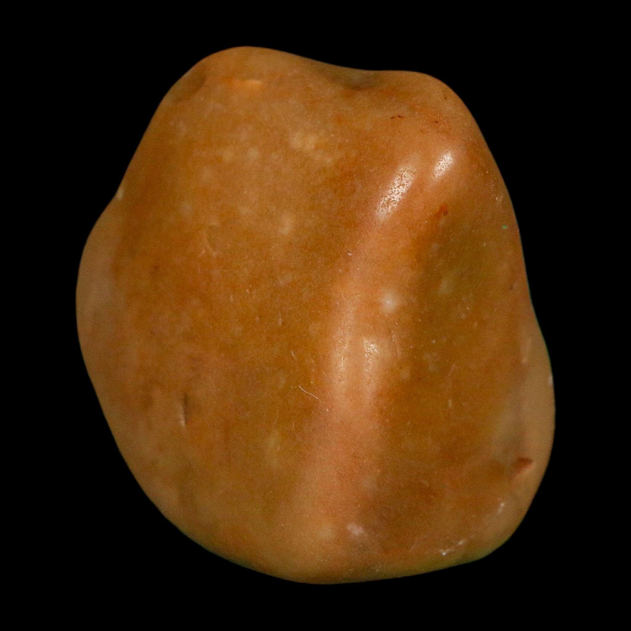 1.3" Sauropod Dinosaur Stomach Stone Gastrolith Rock Gizzard Stone COA - Fossil Age Minerals