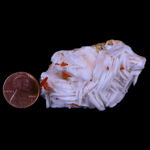 2.3" Sparkly Red Vanadinite Crystals White Barite Blades Mineral Mabladen Morocco - Fossil Age Minerals
