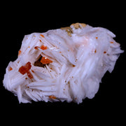 2.3" Sparkly Red Vanadinite Crystals White Barite Blades Mineral Mabladen Morocco