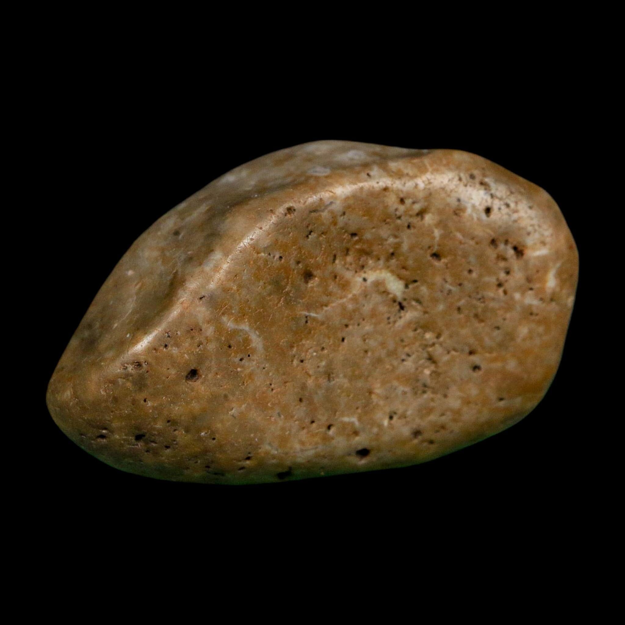2" Sauropod Dinosaur Stomach Stone Gastrolith Rock Gizzard Stone COA - Fossil Age Minerals