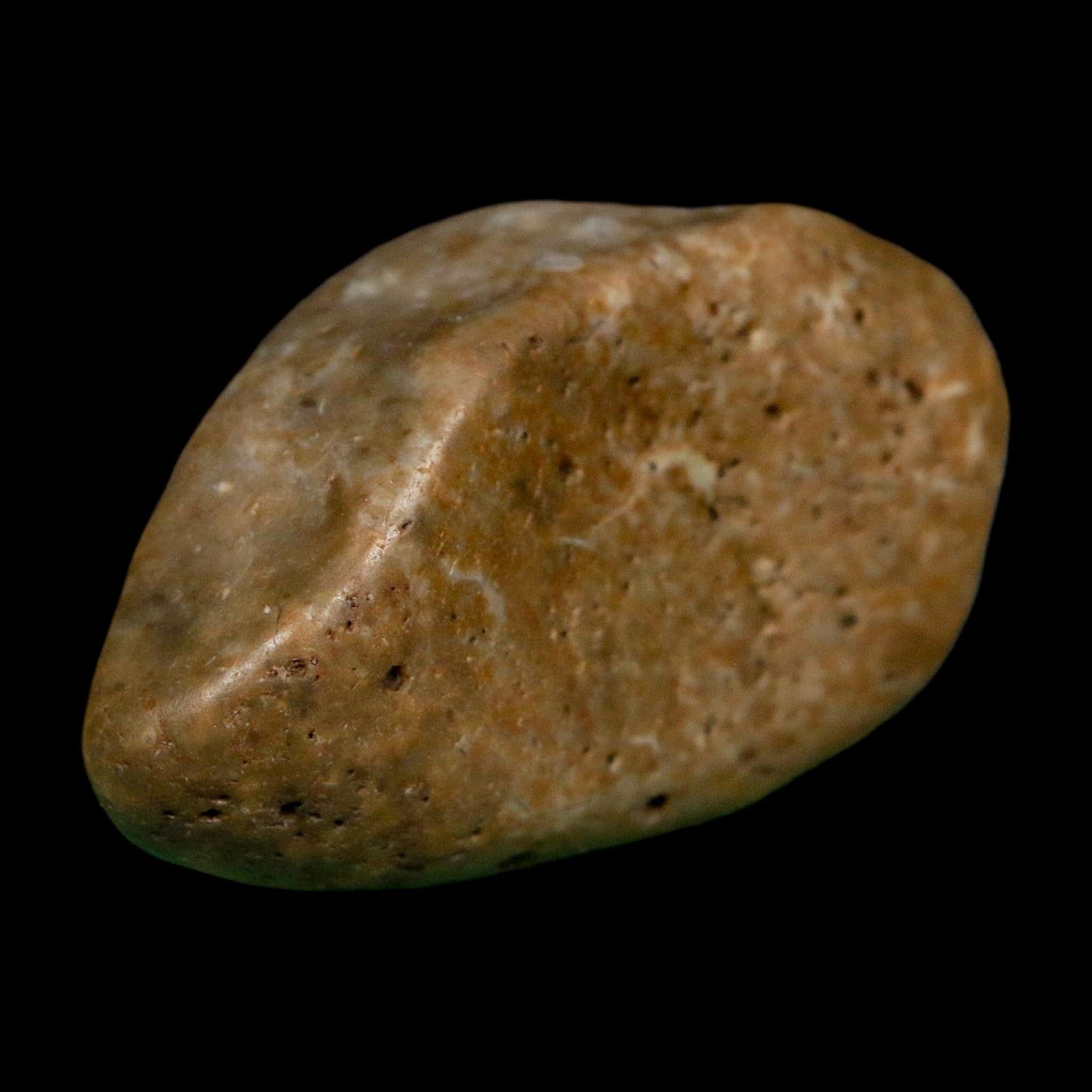 2" Sauropod Dinosaur Stomach Stone Gastrolith Rock Gizzard Stone COA - Fossil Age Minerals