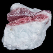 1.4" Natural Rough Pink Tourmaline on Crystal Quartz Mineral Specimen Brazil
