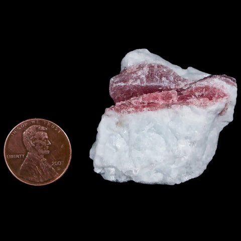 1.4" Natural Rough Pink Tourmaline on Crystal Quartz Mineral Specimen Brazil - Fossil Age Minerals