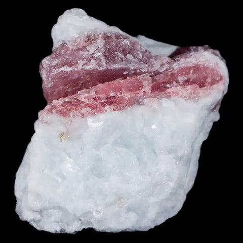 1.4" Natural Rough Pink Tourmaline on Crystal Quartz Mineral Specimen Brazil - Fossil Age Minerals