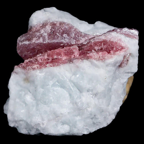 1.4" Natural Rough Pink Tourmaline on Crystal Quartz Mineral Specimen Brazil - Fossil Age Minerals