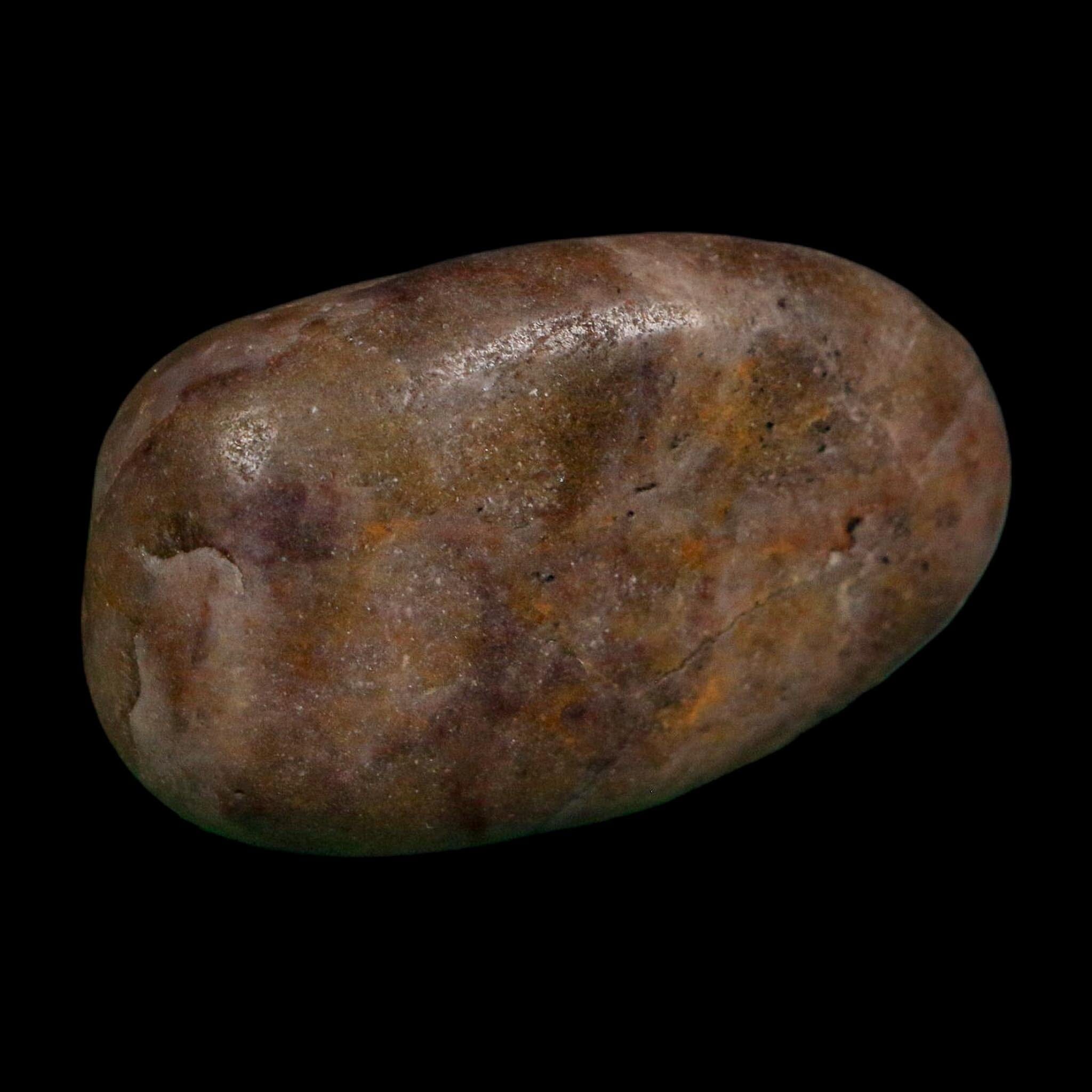 1.8" Sauropod Dinosaur Stomach Stone Gastrolith Rock Gizzard Stone COA - Fossil Age Minerals
