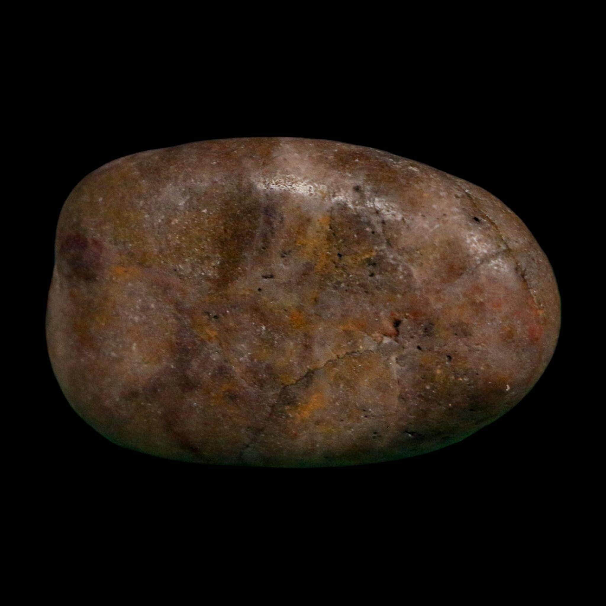 1.8" Sauropod Dinosaur Stomach Stone Gastrolith Rock Gizzard Stone COA - Fossil Age Minerals