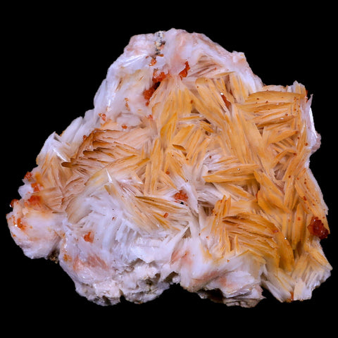 3.6" Sparkly Red Vanadinite Crystals White Barite Blades Mineral Mabladen Morocco - Fossil Age Minerals