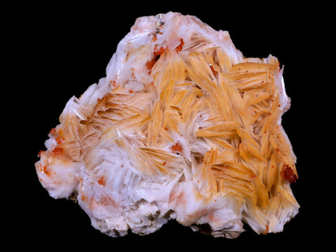 3.6" Sparkly Red Vanadinite Crystals White Barite Blades Mineral Mabladen Morocco - Fossil Age Minerals