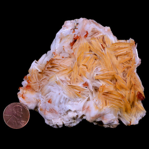 3.6" Sparkly Red Vanadinite Crystals White Barite Blades Mineral Mabladen Morocco - Fossil Age Minerals