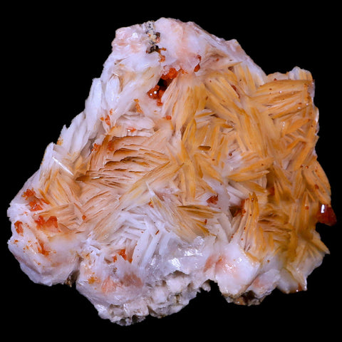 3.6" Sparkly Red Vanadinite Crystals White Barite Blades Mineral Mabladen Morocco - Fossil Age Minerals