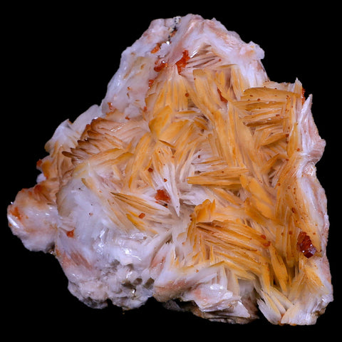 3.6" Sparkly Red Vanadinite Crystals White Barite Blades Mineral Mabladen Morocco - Fossil Age Minerals