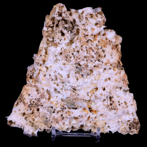 4.8" Sparkly Red Vanadinite Crystals White Barite Blades Mineral Mabladen Morocco - Fossil Age Minerals