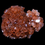 2.4" Aragonite Mineral Two Tone Crystal Cluster Specimen Tazouta Morocco