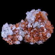3.4" Aragonite Mineral Two Tone Crystal Cluster Specimen Tazouta Morocco