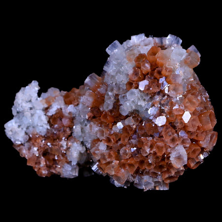 3.4" Aragonite Mineral Two Tone Crystal Cluster Specimen Tazouta Morocco