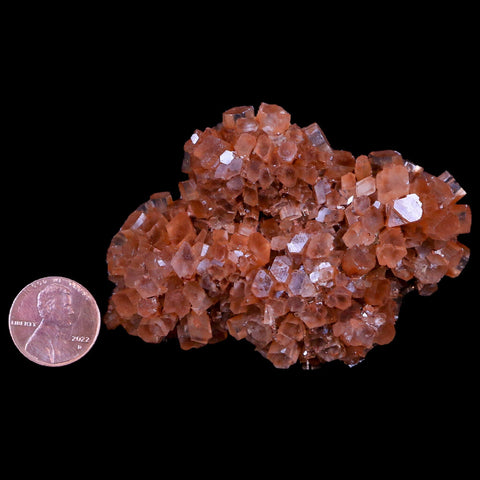 3.1" Red Aragonite Mineral Crystal Cluster Specimen Tazouta Morocco - Fossil Age Minerals
