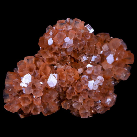 3.1" Red Aragonite Mineral Crystal Cluster Specimen Tazouta Morocco - Fossil Age Minerals
