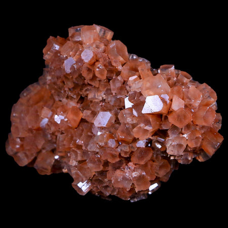 3.1" Red Aragonite Mineral Crystal Cluster Specimen Tazouta Morocco