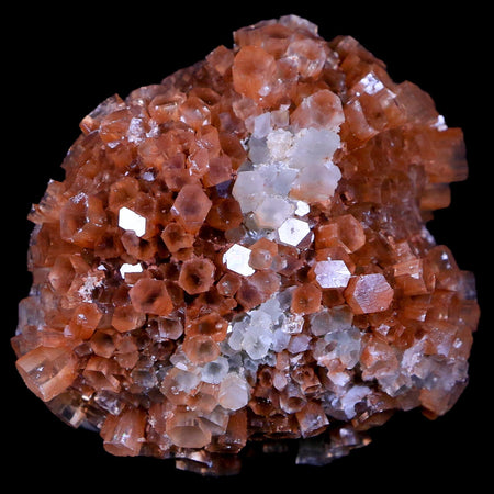 2.4" Aragonite Mineral Two Tone Crystal Cluster Specimen Tazouta Morocco